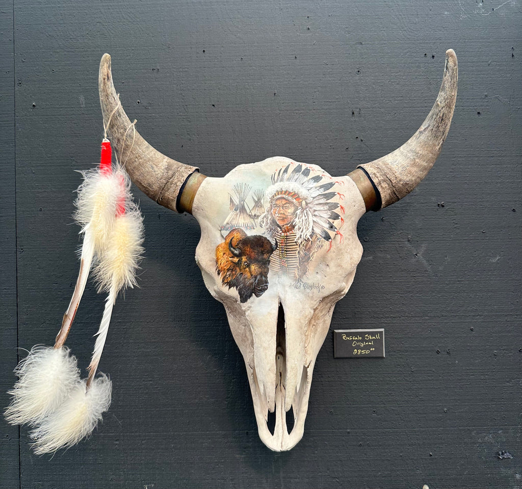 Buffalo Skull