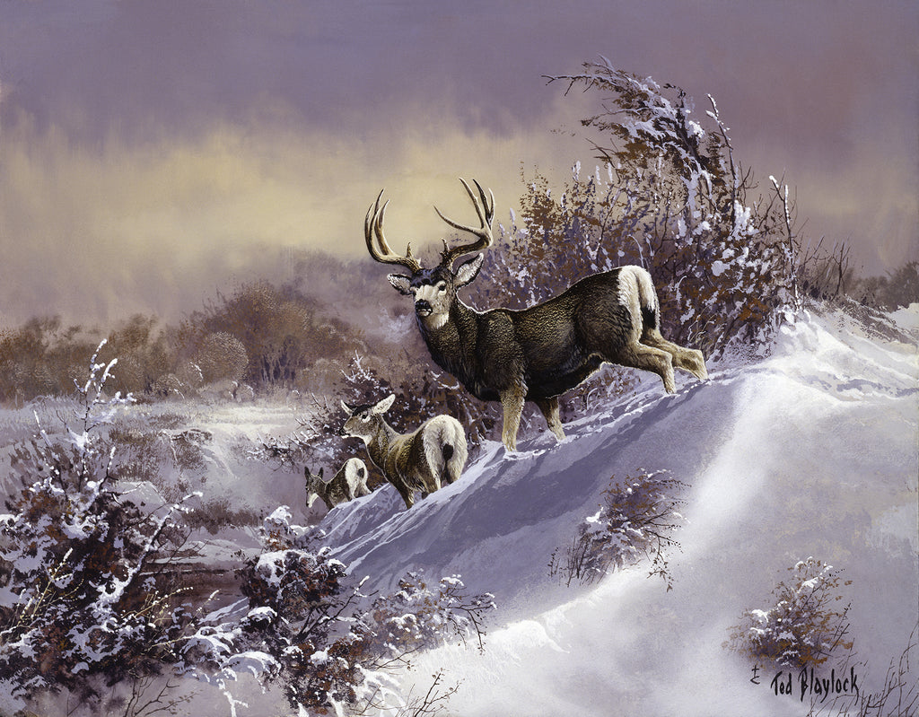 Muley's On Button Creek